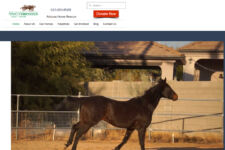 Photo of After The Homestretch-Arizona Photo of After The Homestretch-Arizona