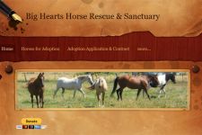 Photo of Big Hearts Horse Rescue Photo of Big Hearts Horse Rescue
