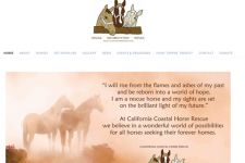 Photo of California Coastal Horse Rescue Photo of California Coastal Horse Rescue