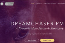Photo of Dreamchaser Horse Rescue and Rehabilitation Photo of Dreamchaser Horse Rescue and Rehabilitation