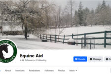 Photo of Equine Aid Horse & Donkey Rescue Photo of Equine Aid Horse & Donkey Rescue