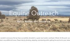 Photo of Equine Outreach, Inc Photo of Equine Outreach, Inc