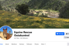 Photo of Equine Rescue Outakuntrol Photo of Equine Rescue Outakuntrol