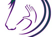 Photo of Equine WellBeing Rescue Inc Photo of Equine WellBeing Rescue Inc