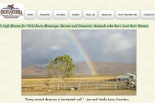 Photo of High Sierra Wild Horse Sanctuary Photo of High Sierra Wild Horse Sanctuary
