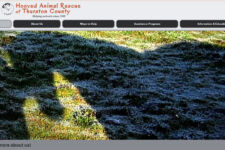 Photo of Hooved Animal Rescue of Thurston County Photo of Hooved Animal Rescue of Thurston County