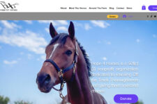 Photo of Hope For Horses Photo of Hope For Horses