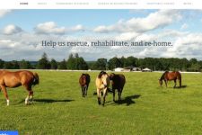 Photo of Hytyme Equine Rescue Photo of Hytyme Equine Rescue