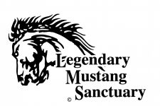 Photo of Legendary Mustang Sanctuary Photo of Legendary Mustang Sanctuary