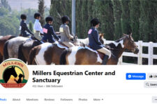 Photo of Millers Equestrian Center & Sanctuary Photo of Millers Equestrian Center & Sanctuary