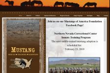 Photo of Mustangs of American Foundation Photo of Mustangs of American Foundation