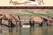 Photo of Pryor Mustangs Center Photo of Pryor Mustangs Center