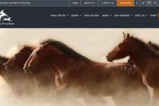 Photo of Return to Freedom Photo of Return to Freedom