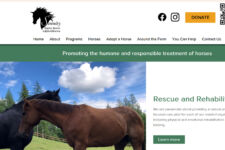Photo of Serenity Equine Rescue and Rehabilitation Photo of Serenity Equine Rescue and Rehabilitation