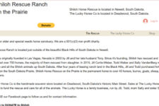 Photo of Shiloh Horse Rescue Photo of Shiloh Horse Rescue