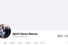 Photo of Spirit to be Free Photo of Spirit to be Free