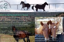 Photo of Spring Creek Horse Rescue Photo of Spring Creek Horse Rescue