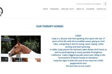 Photo of Therapeutic Riding and Off Track Rehabilitation Photo of Therapeutic Riding and Off Track Rehabilitation