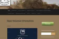 Photo of Tierra Madre Horse Sanctuary Photo of Tierra Madre Horse Sanctuary