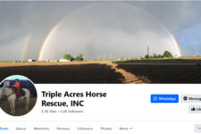 Photo of Triple Acres Horse Rescue Photo of Triple Acres Horse Rescue