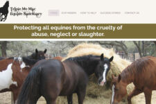 Photo of Triple Me Mac Equine Sanctuary Photo of Triple Me Mac Equine Sanctuary