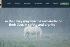 Photo of White Bird Appaloosa Horse Rescue Photo of White Bird Appaloosa Horse Rescue