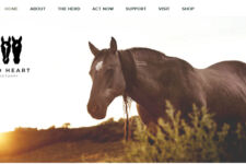 Photo of Wild Heart Sanctuary Photo of Wild Heart Sanctuary