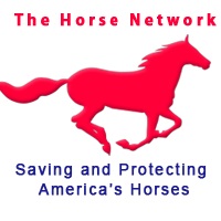 The Horse Network