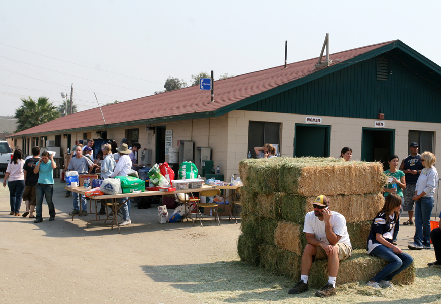 Del Mar Fairgrounds Horse Rescue during the San Diego fires.