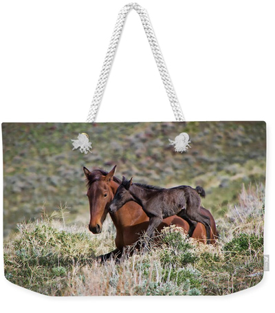 The Horse Weekender Tote Bags