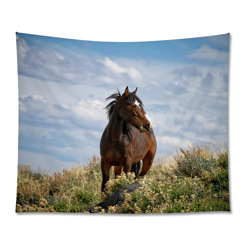 Horse Tapestry Prints